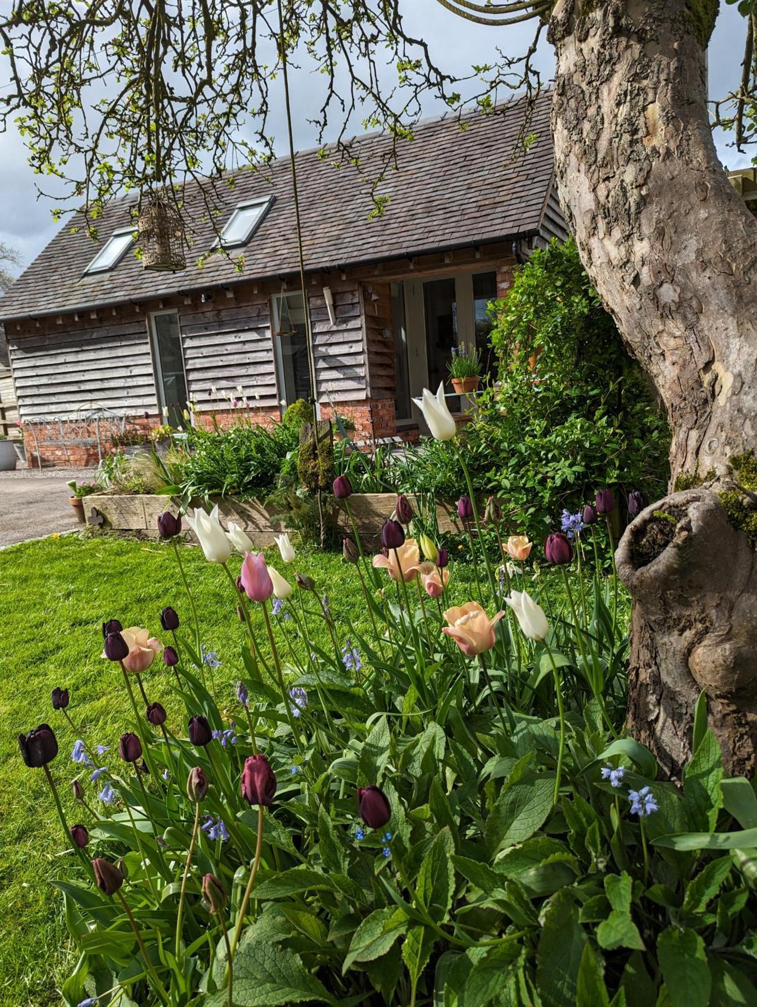 The Dorm Bed And Breakfast Eccleshall Bagian luar foto