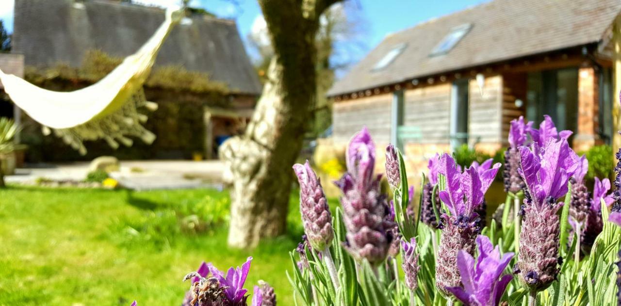 The Dorm Bed And Breakfast Eccleshall Bagian luar foto