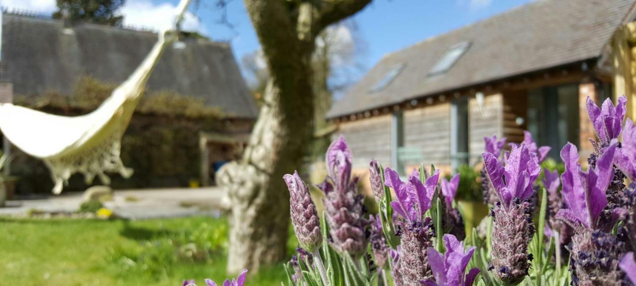 The Dorm Bed And Breakfast Eccleshall Bagian luar foto