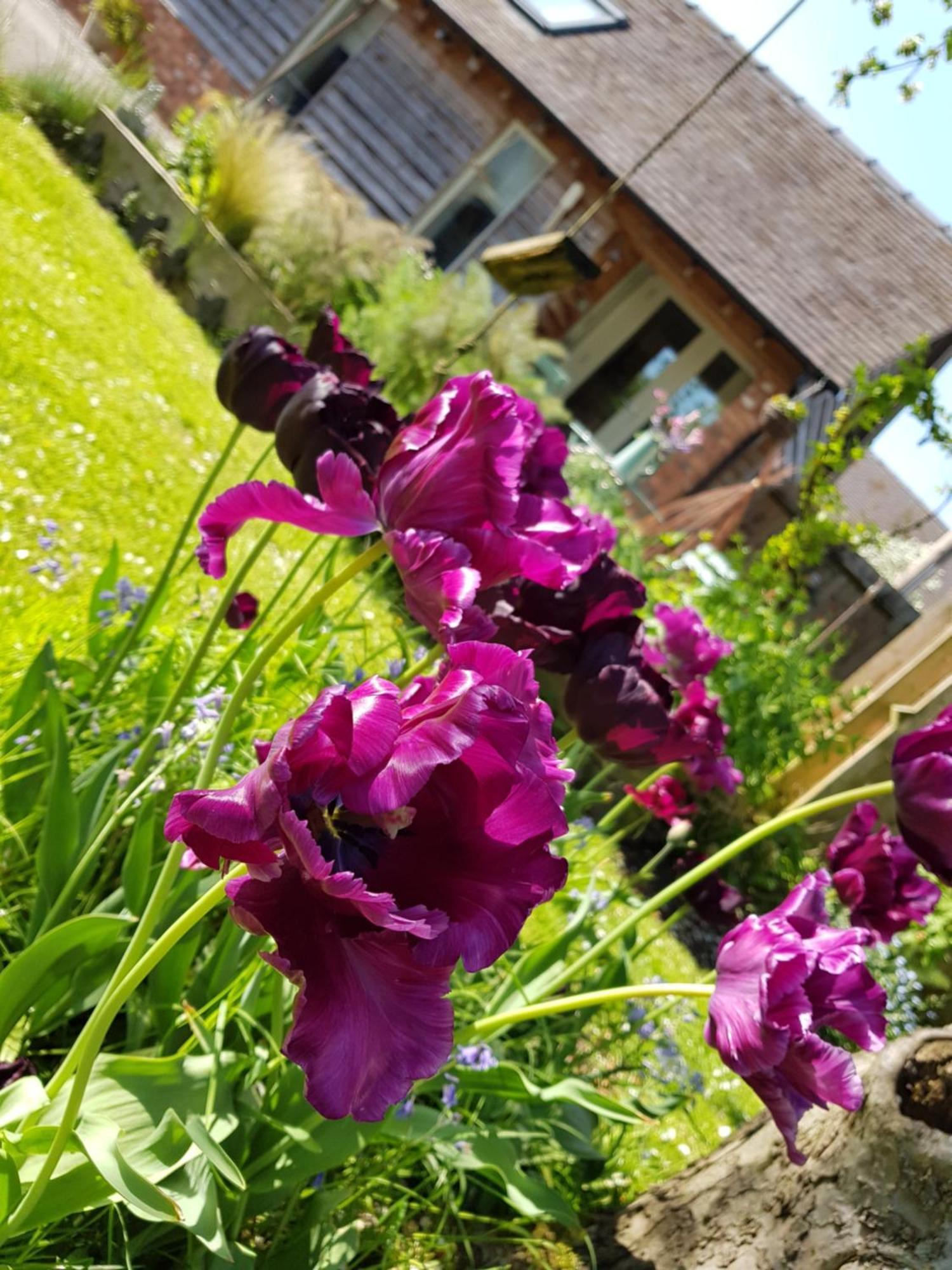 The Dorm Bed And Breakfast Eccleshall Bagian luar foto