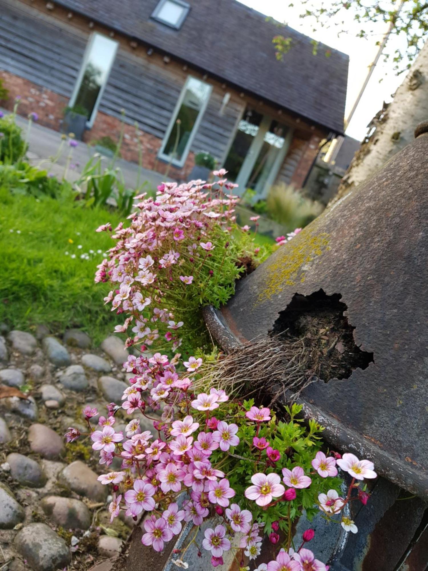 The Dorm Bed And Breakfast Eccleshall Bagian luar foto