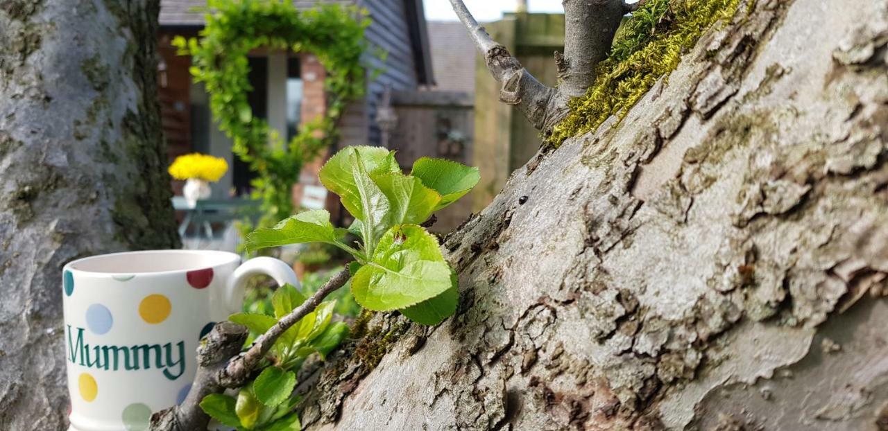 The Dorm Bed And Breakfast Eccleshall Bagian luar foto